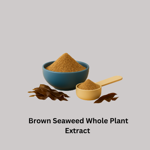 //nutritipro.com/cdn/shop/files/Your_paragraph_textIJHGF_2048x.png?v=1758245341
