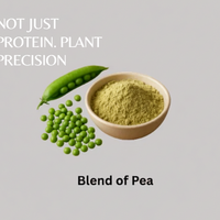 Vegan Protein Boost Vanilla (15 Servings) - great-tasting blend with probiotic, a well-rounded choice plant-based protein support.