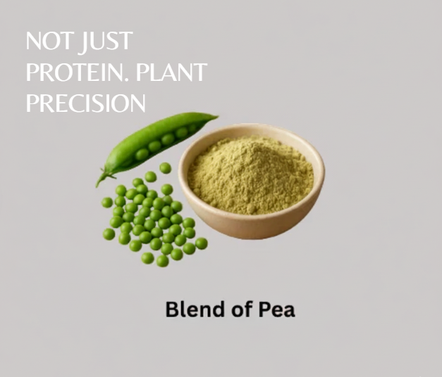 Vegan Protein Boost Vanilla (15 Servings) - great-tasting blend with probiotic, a well-rounded choice plant-based protein support.