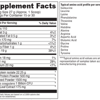 Vegan Protein Boost Vanilla (15 Servings) - great-tasting blend with probiotic, a well-rounded choice plant-based protein support.